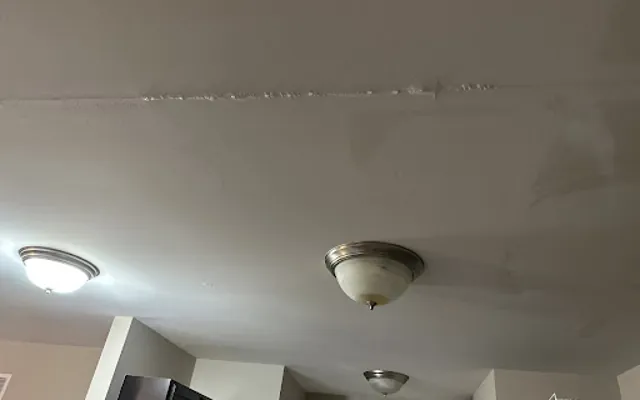 Ceiling Water Damage in Burbank, CA