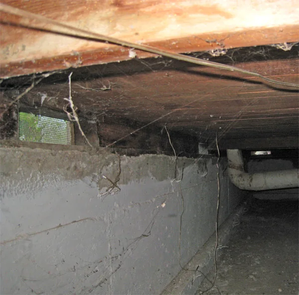 Crawlspace Water Removal in a Burbank home