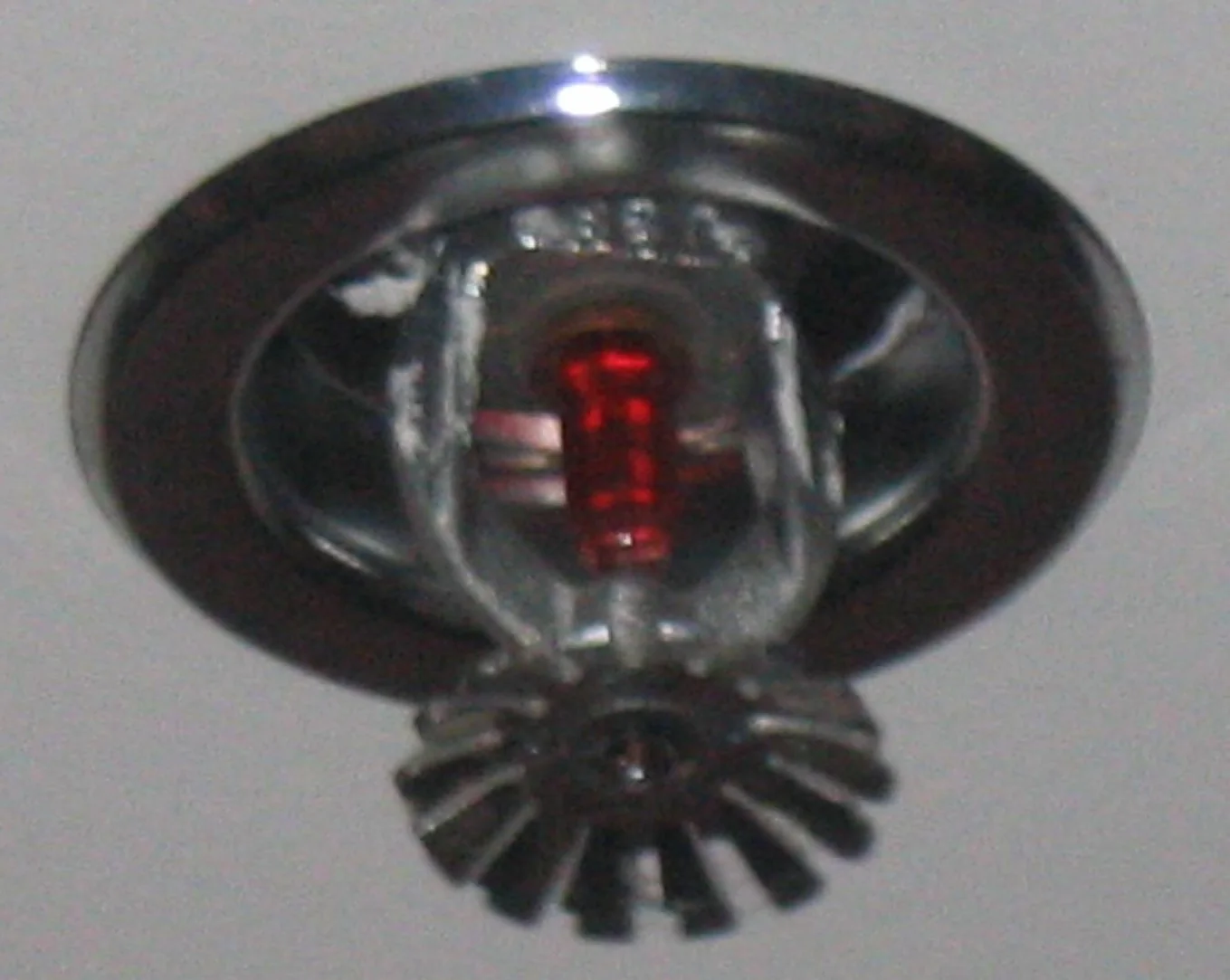 Fire Sprinkler Discharge in a Burbank home