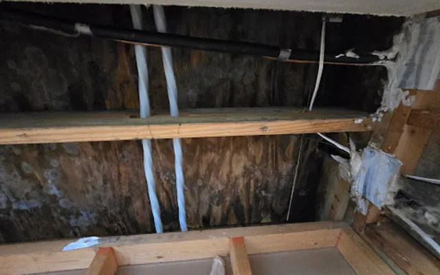 Roof Leak Water Damage in Burbank, CA