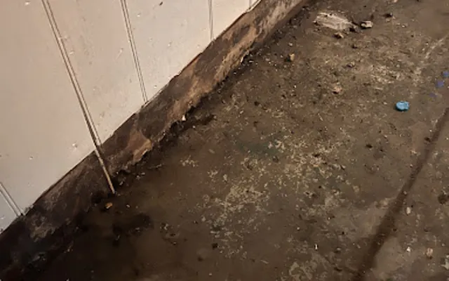 Sewage and Black Water Cleanup in Burbank, CA