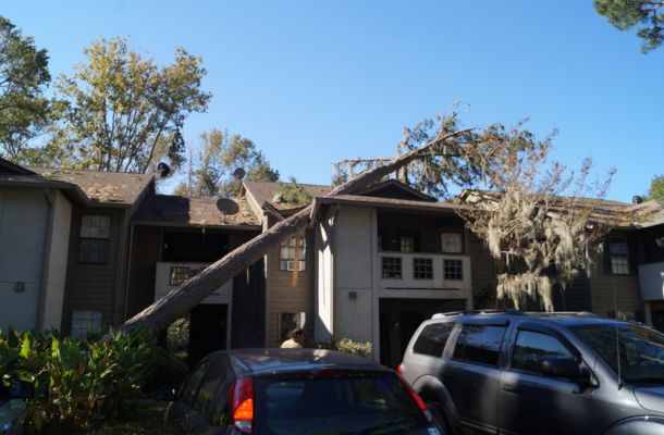 Storm Damage Restoration Burbank, California